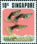 动物:亚洲:新加坡:sg197402.jpg
