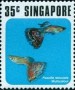动物:亚洲:新加坡:sg197403.jpg