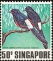 动物:亚洲:新加坡:sg197803.jpg