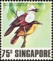 动物:亚洲:新加坡:sg197804.jpg
