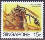 动物:亚洲:新加坡:sg198503.jpg