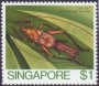 动物:亚洲:新加坡:sg198509.jpg
