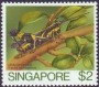 动物:亚洲:新加坡:sg198510.jpg