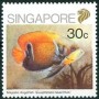 动物:亚洲:新加坡:sg198902.jpg