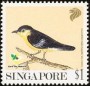 动物:亚洲:新加坡:sg199104.jpg