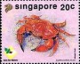 动物:亚洲:新加坡:sg199201.jpg