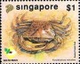动物:亚洲:新加坡:sg199204.jpg