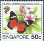 动物:亚洲:新加坡:sg199307.jpg