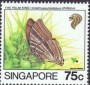 动物:亚洲:新加坡:sg199308.jpg