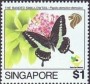 动物:亚洲:新加坡:sg199309.jpg