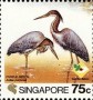 动物:亚洲:新加坡:sg199403.jpg