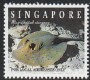动物:亚洲:新加坡:sg199408.jpg