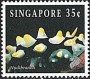 动物:亚洲:新加坡:sg199411.jpg