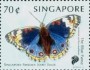 动物:亚洲:新加坡:sg199906.jpg