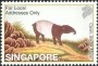 动物:亚洲:新加坡:sg200220.jpg