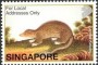 动物:亚洲:新加坡:sg200221.jpg