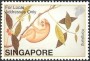 动物:亚洲:新加坡:sg200222.jpg