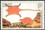 动物:亚洲:新加坡:sg200224.jpg