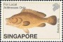 动物:亚洲:新加坡:sg200230.jpg