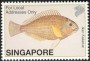 动物:亚洲:新加坡:sg200231.jpg
