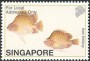 动物:亚洲:新加坡:sg200235.jpg