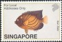 动物:亚洲:新加坡:sg200238.jpg