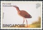 动物:亚洲:新加坡:sg200244.jpg