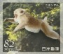 动物:亚洲:日本:jp201906.jpg