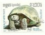 动物:亚洲:柬埔寨:kh198701.jpg