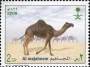 动物:亚洲:沙特阿拉伯:sa200801.jpg