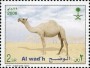 动物:亚洲:沙特阿拉伯:sa200802.jpg