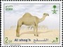 动物:亚洲:沙特阿拉伯:sa200803.jpg