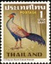 动物:亚洲:泰国:th196704.jpg