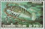 动物:亚洲:泰国:th197611.jpg