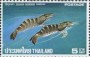 动物:亚洲:泰国:th197612.jpg