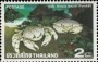 动物:亚洲:泰国:th197901.jpg