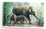 动物:亚洲:泰国:th199105.jpg
