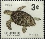 动物:亚洲:琉球:ry196502.jpg