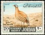 动物:亚洲:约旦:jo196804.jpg