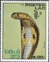 动物:亚洲:老挝:la198614.jpg