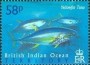 动物:亚洲:英属印度洋领地:io200420.jpg