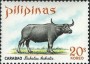 动物:亚洲:菲律宾:ph196903.jpg