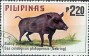 动物:亚洲:菲律宾:ph197903.jpg