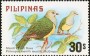 动物:亚洲:菲律宾:ph197907.jpg