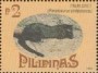 动物:亚洲:菲律宾:ph199504.jpg