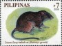 动物:亚洲:菲律宾:ph200801.jpg
