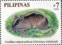 动物:亚洲:菲律宾:ph200802.jpg