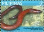 动物:亚洲:菲律宾:ph201109.jpg