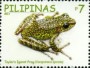 动物:亚洲:菲律宾:ph201117.jpg
