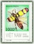 动物:亚洲:越南:vn199608.jpg